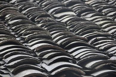 外星探索3D动作游戏《黏液》确定12月16日发售